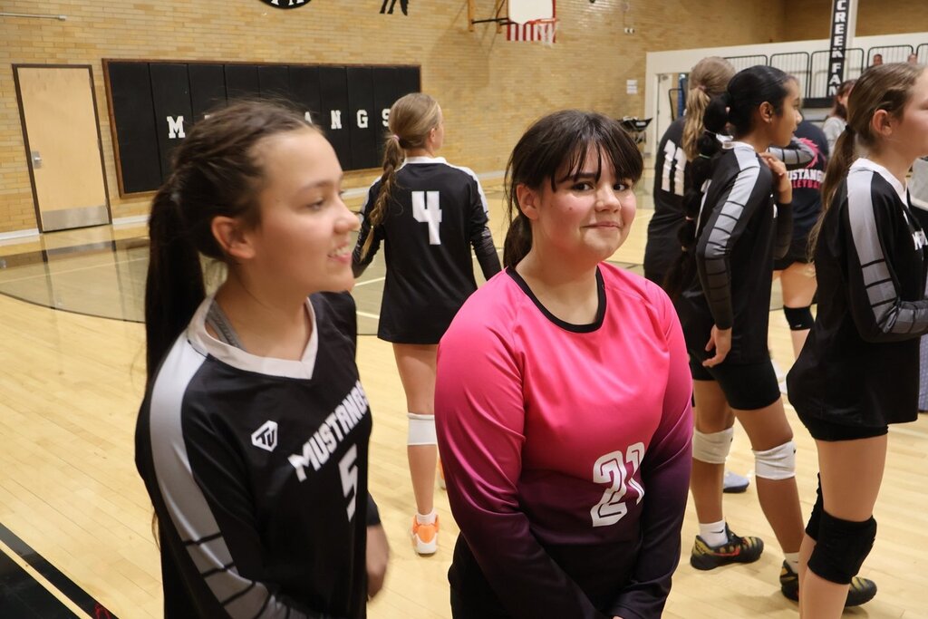 volleyball players