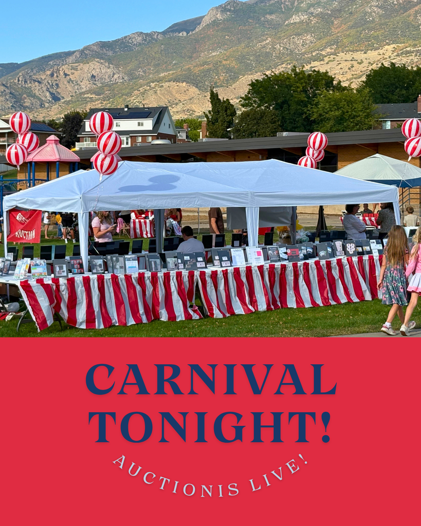 photo of a carnival booth. carnival tonight  auction is live