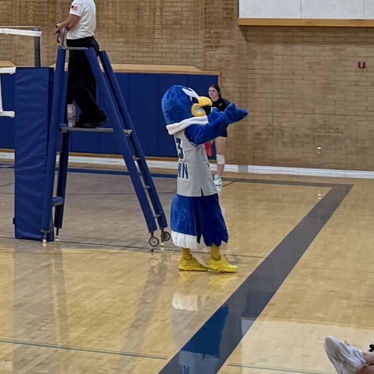 falcon mascot 