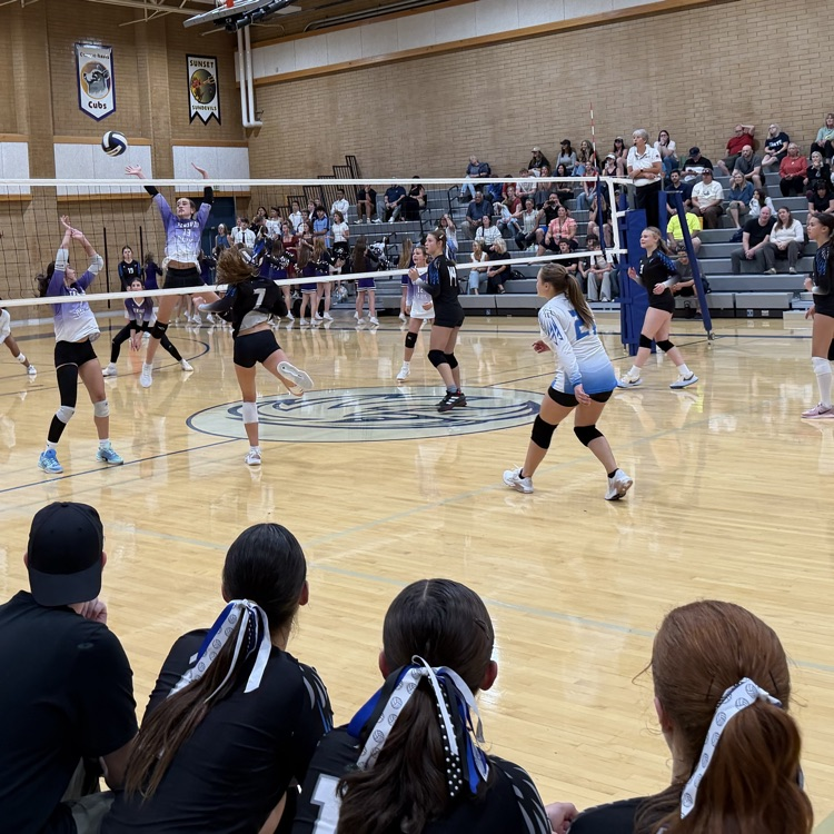 students playing volleyball 