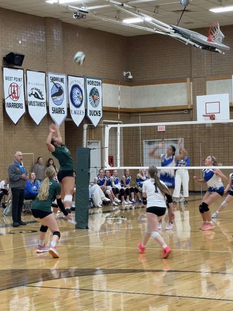 Athlete spiking the ball. 