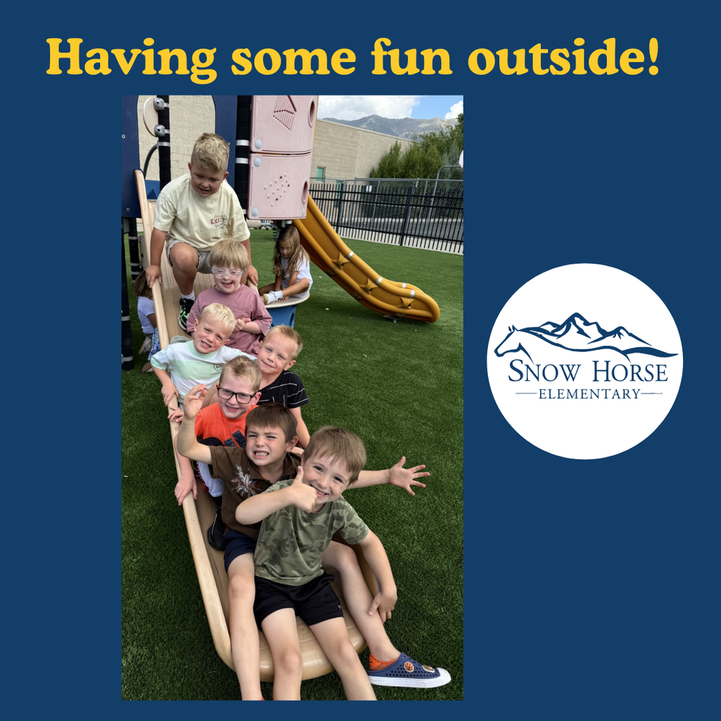 Kids on a slide