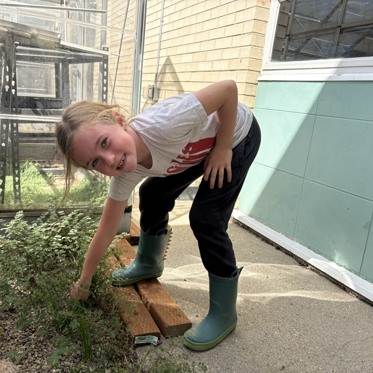 student pulling weeds