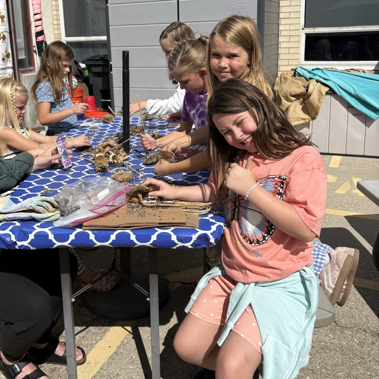 students harvesting seeds from sunflowers