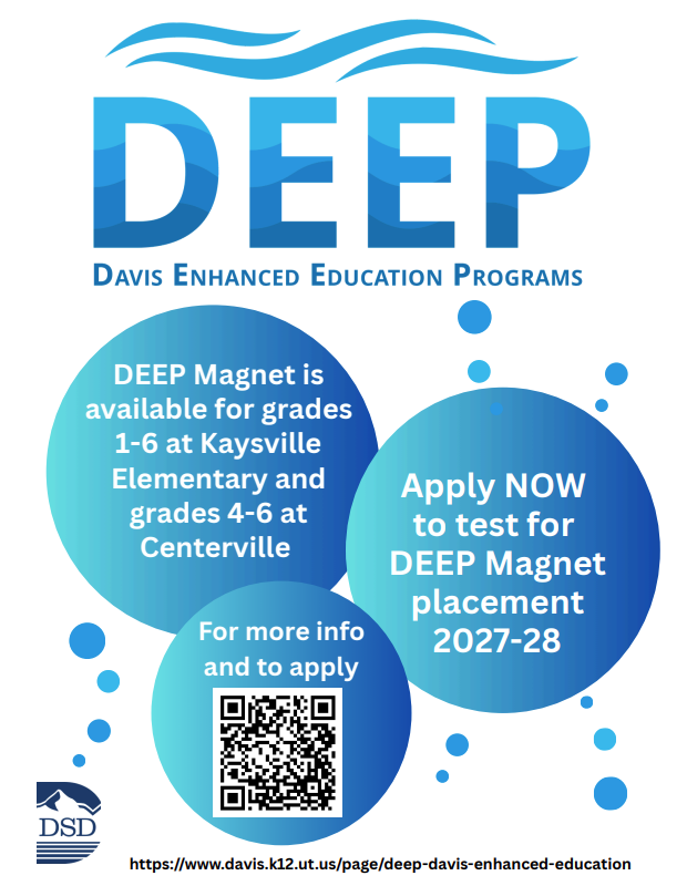 DEEP Flyer - apply to test for DEEP Magnet placement 2027-28.
