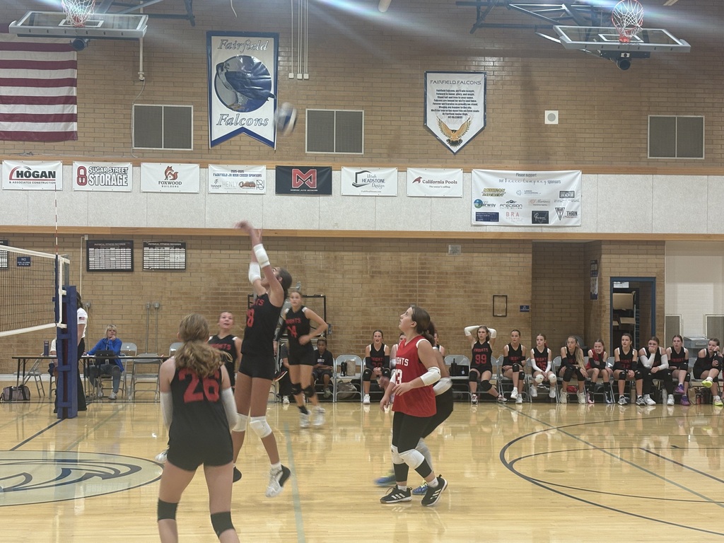 image of girls playing volleyball