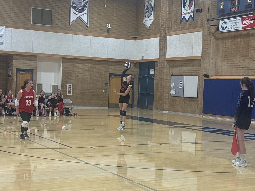 image of girls playing volleyball