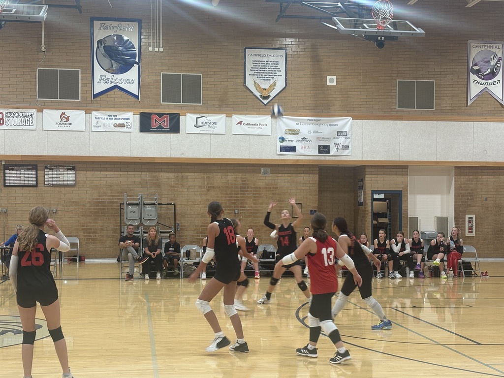 image of girls playing volleyball