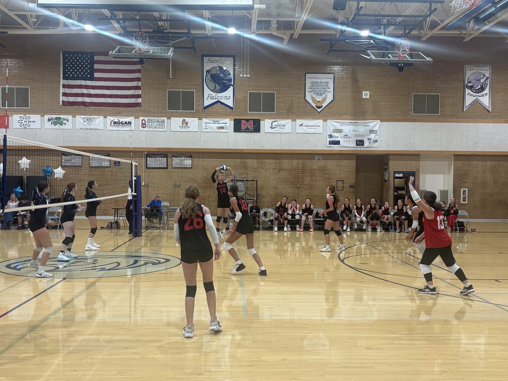 image of girls playing volleyball