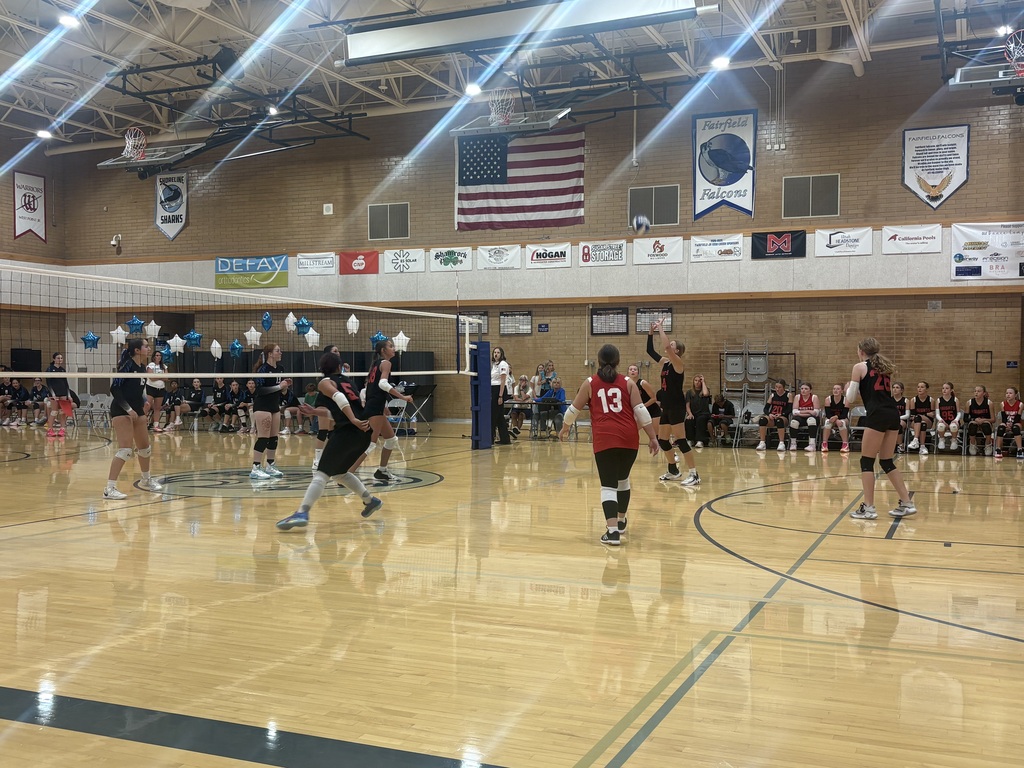 image of girls playing volleyball