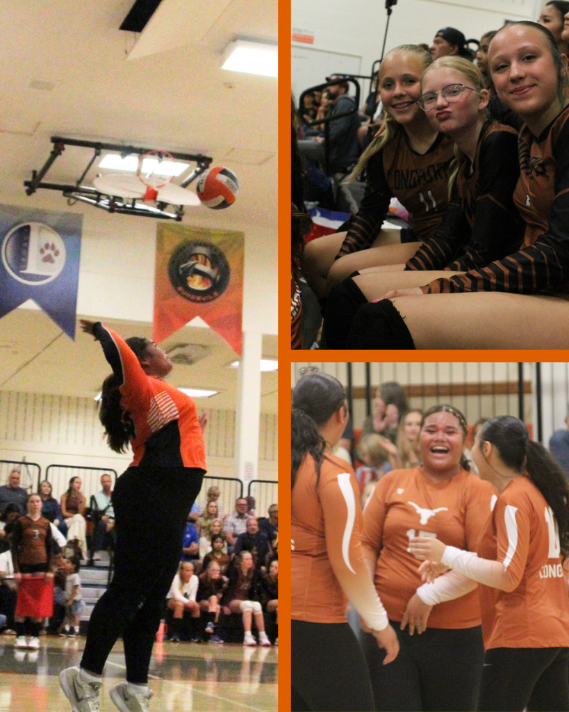 Girls volleyball team. One girl spiking the ball, three girls sitting on the bench, and a group of girls laughing