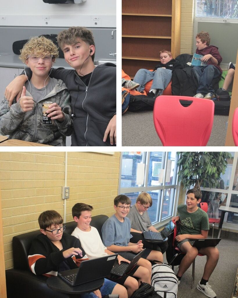 groups of students in the library and in class
