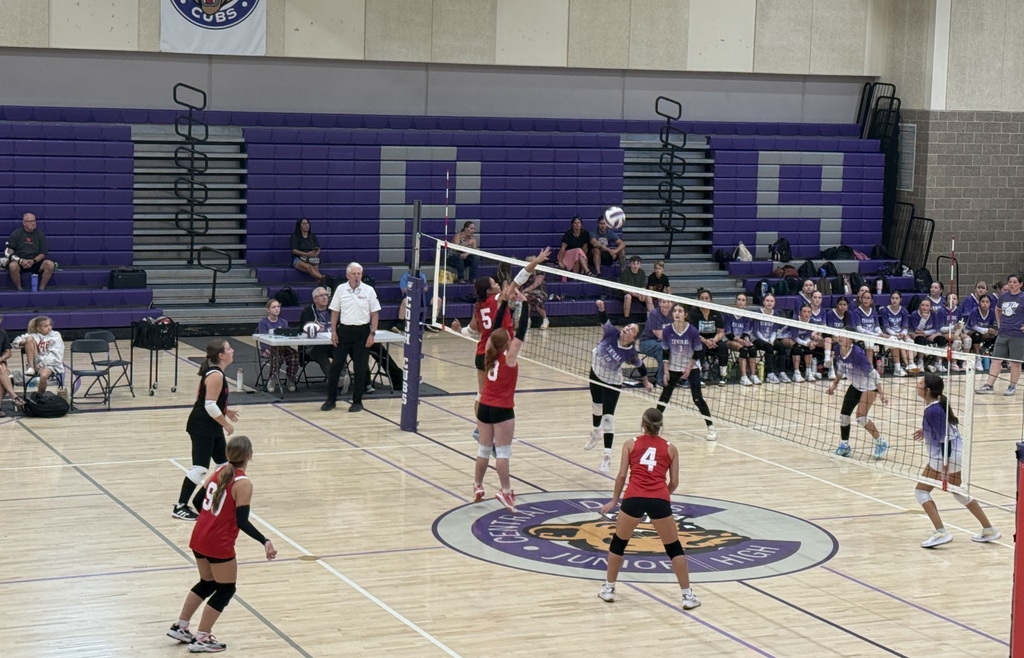 image of girls playing volleyball