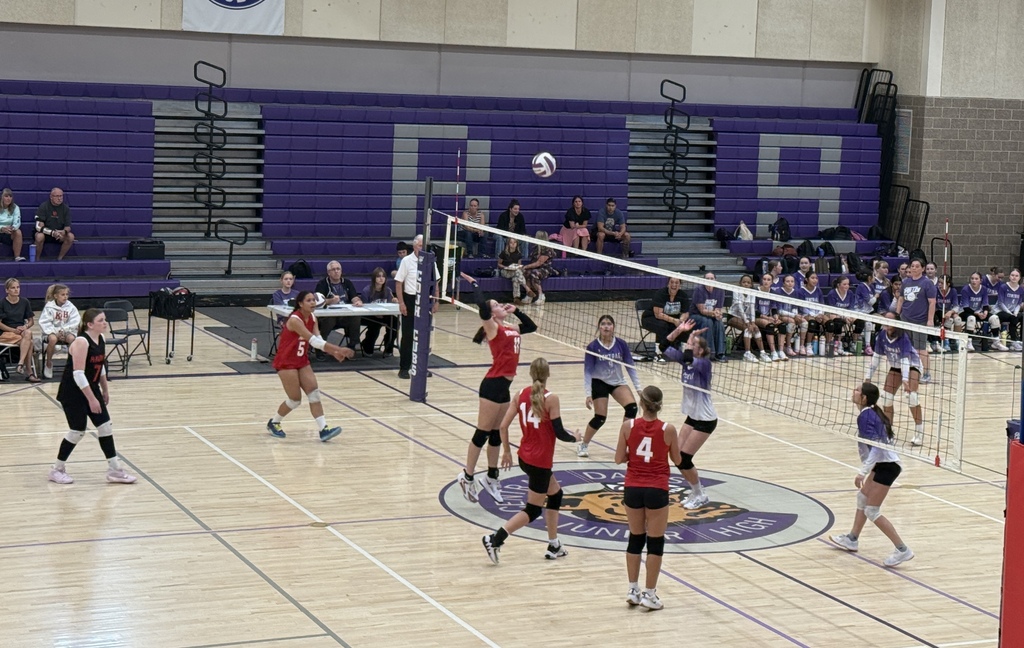 image of girls playing volleyball
