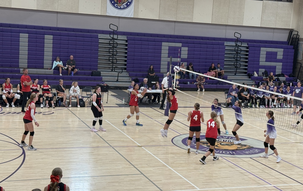 image of girls playing volleyball