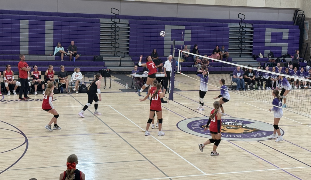 image of girls playing volleyball