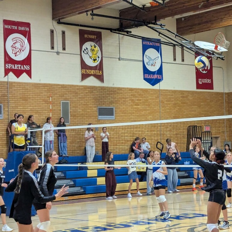 girls volleyball team