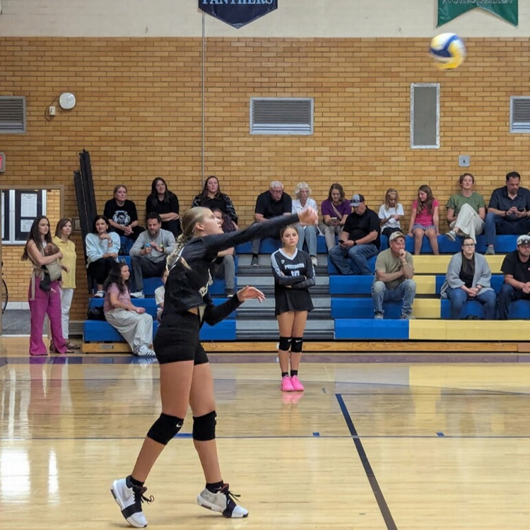 girls volleyball team