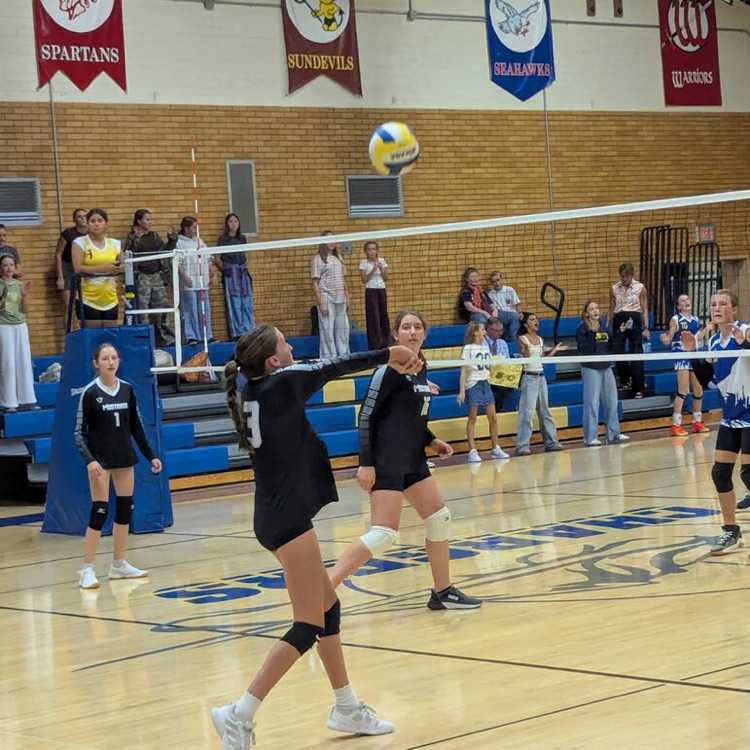 girls volleyball team