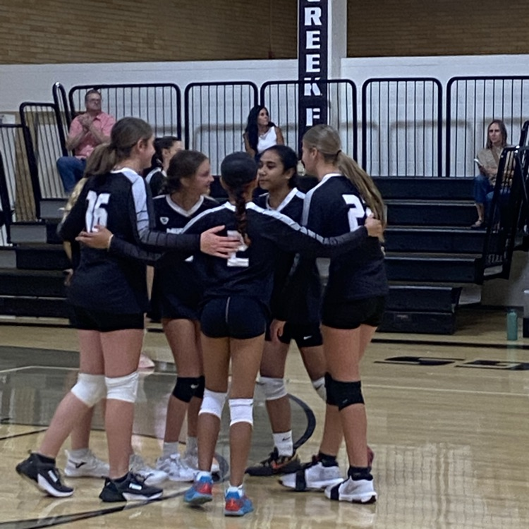girls volleyball team