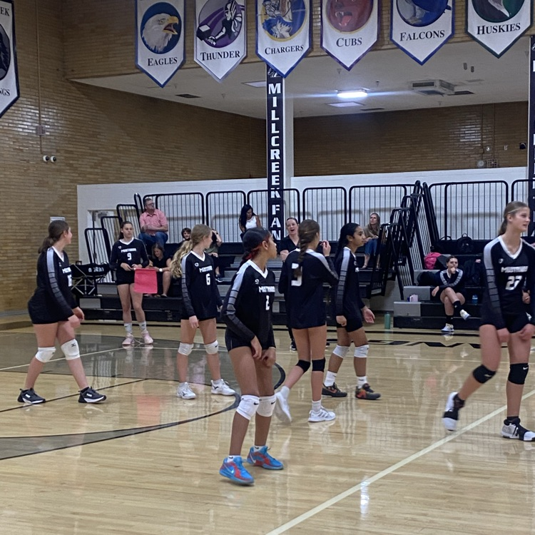 girls volleyball team