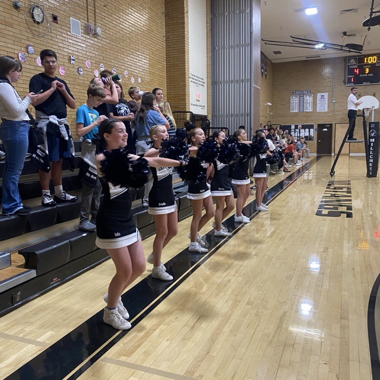 girls volleyball team