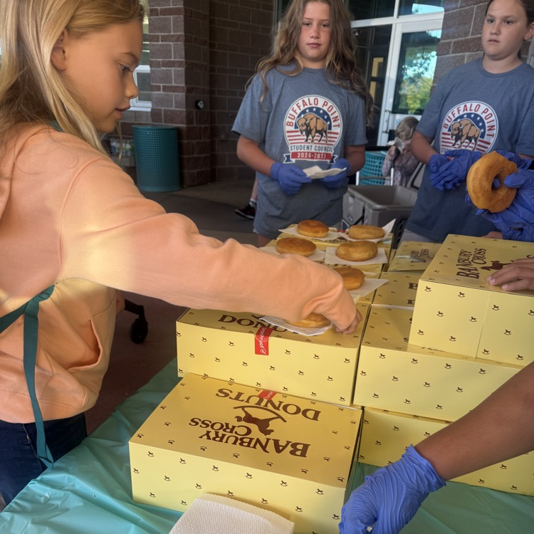 donuts and grown