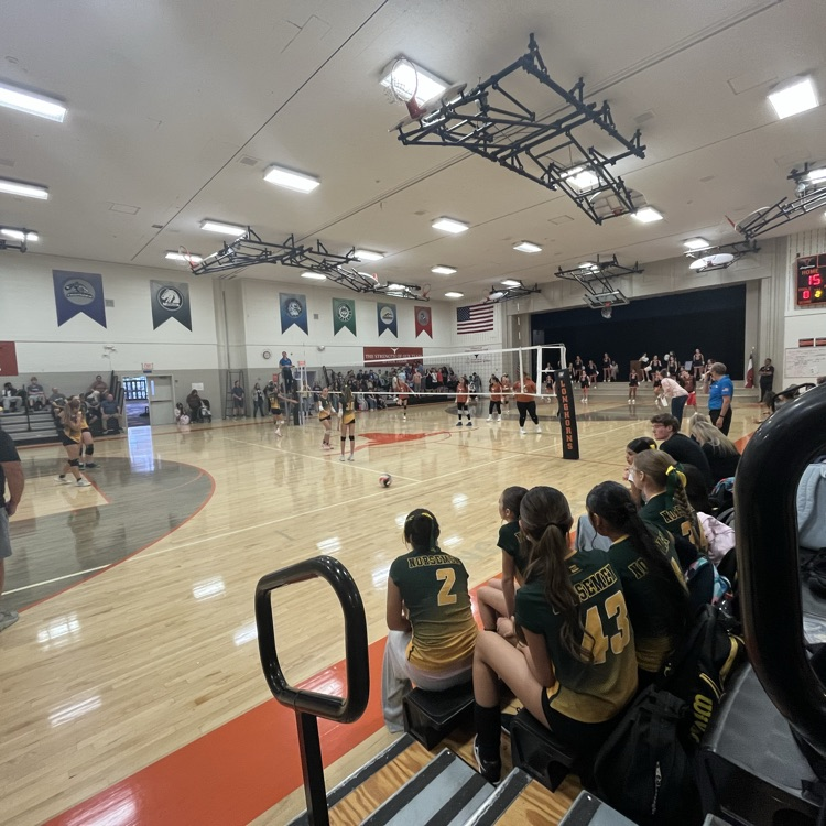 volleyball