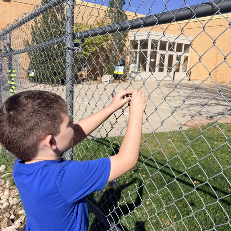 student putting lock up on fence for school and class project