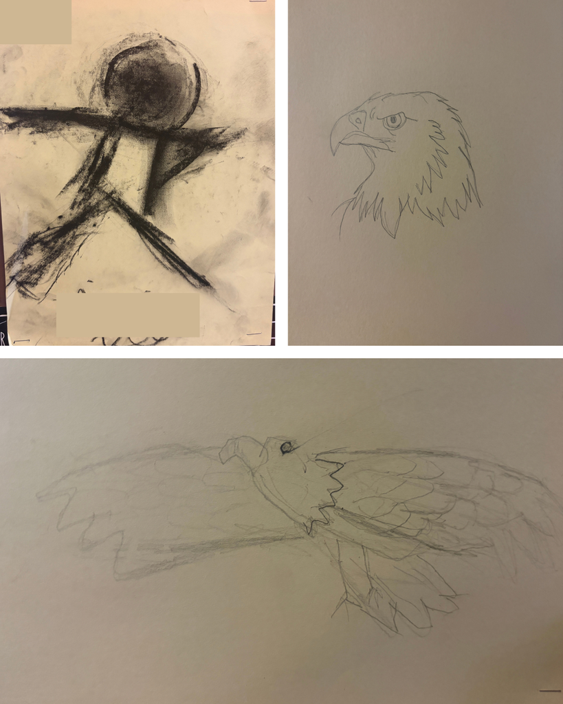 Drawings of an eagle and person completed by students