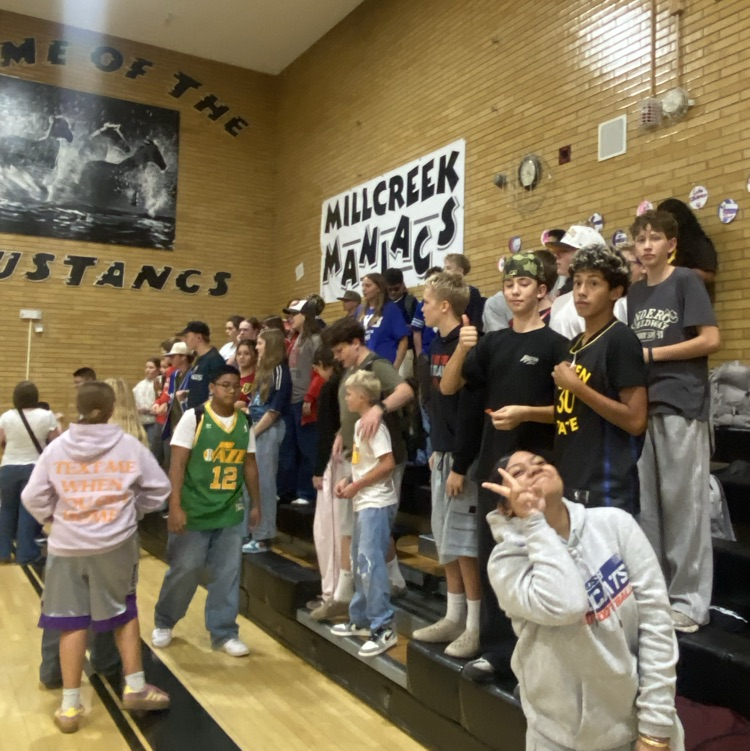 volleyball fans