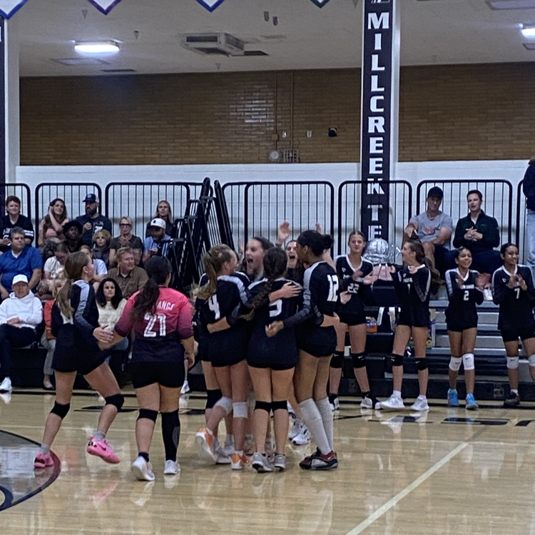 girls volleyball team