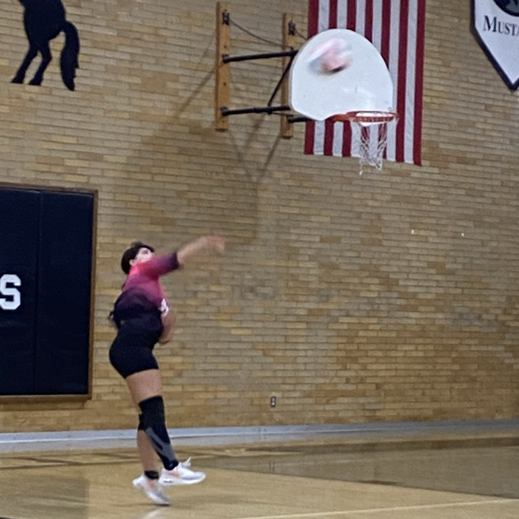 volleyball player