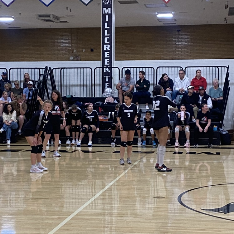 girls volleyball team