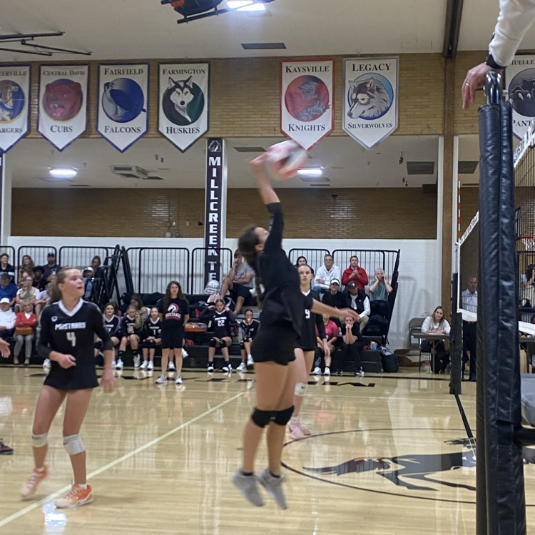 girls volleyball team