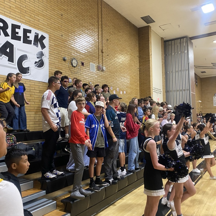volleyball fans