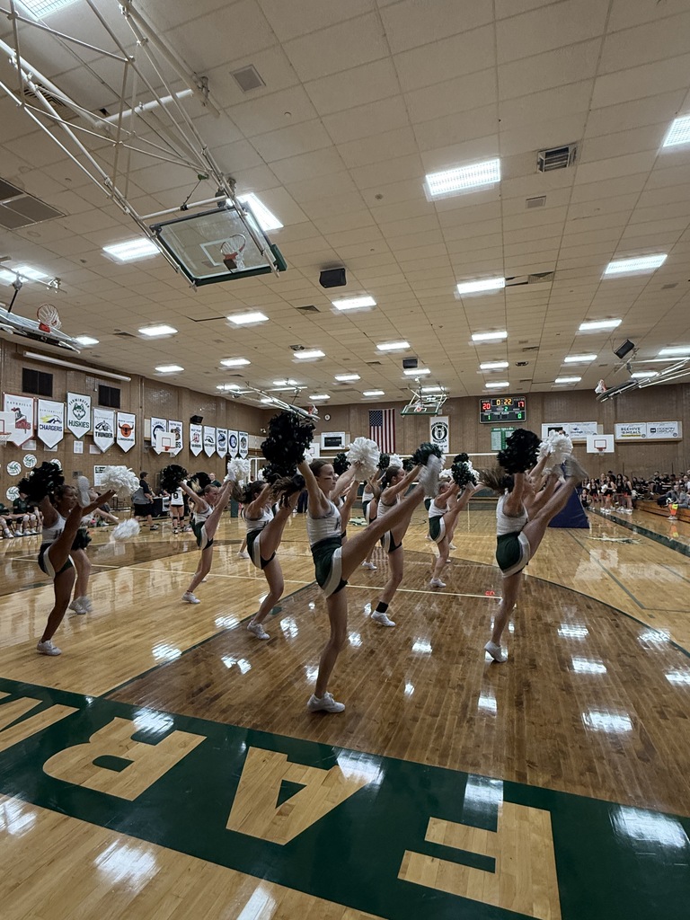 Cheerleaders performing at the game. 