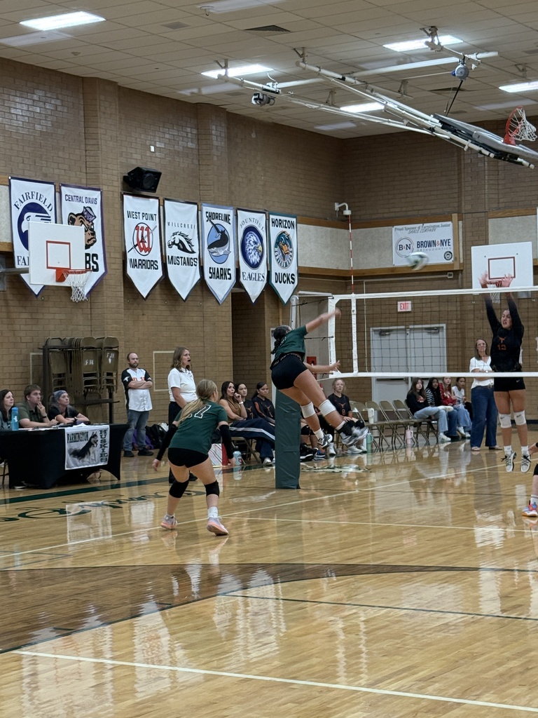 Student spiking the volleyball. 