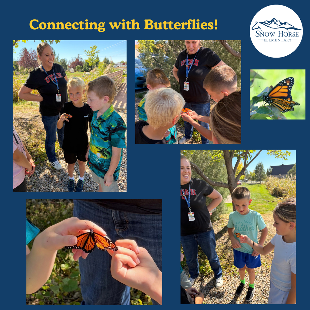 Students connecting with butterflies