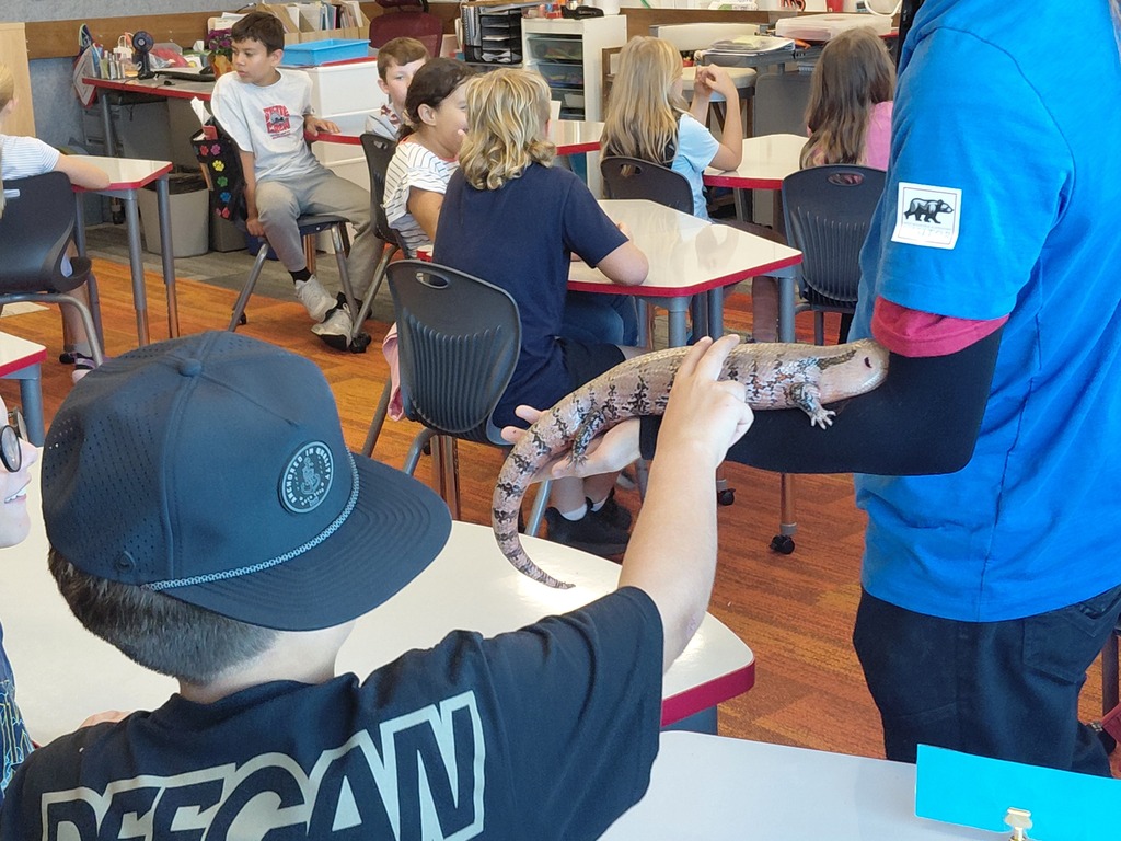 West Bountiful Elementary Students Visit with Loveland Living Planet Aquarium Animals