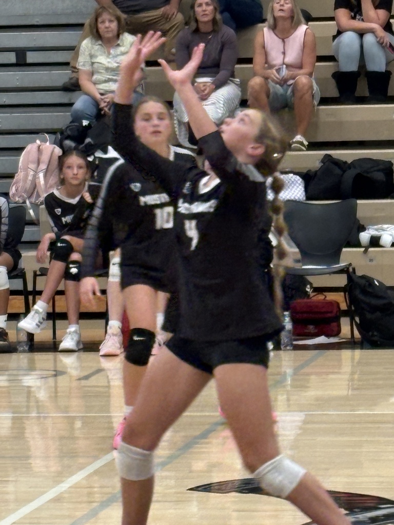volleyball players