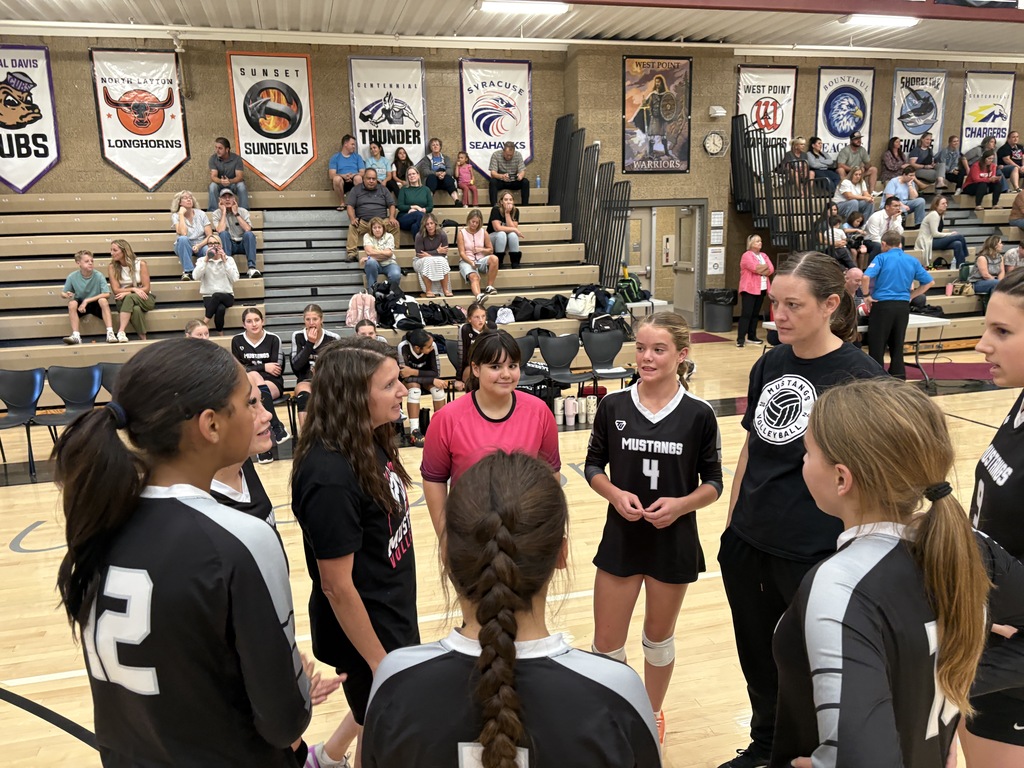 volleyball players