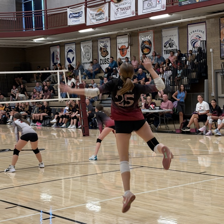 Serving the ball