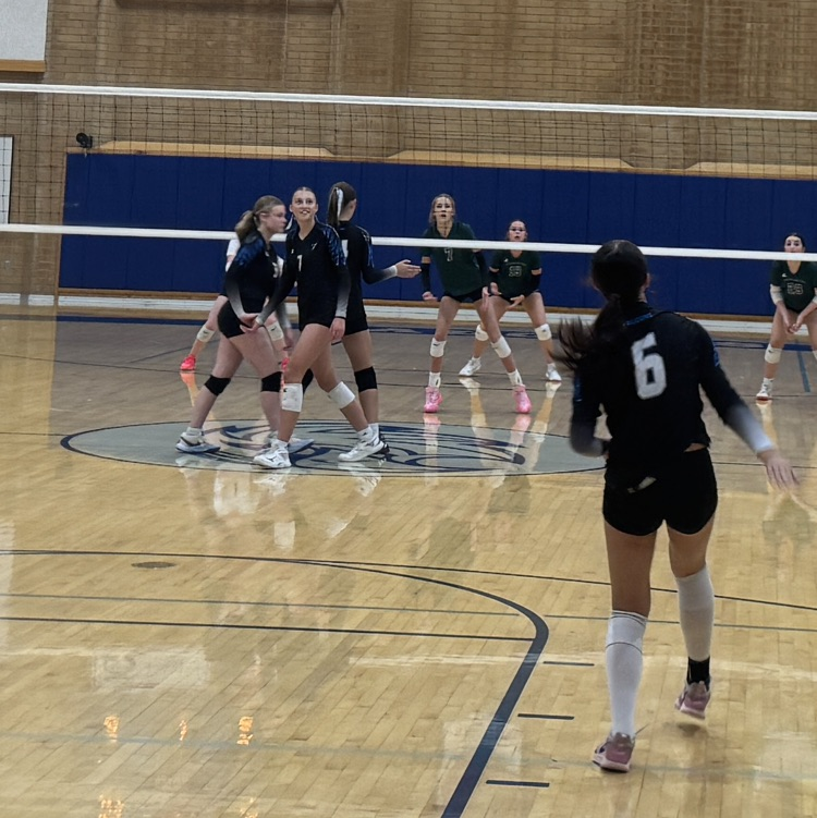 Volleyball game