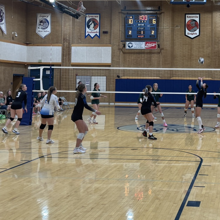 volleyball set