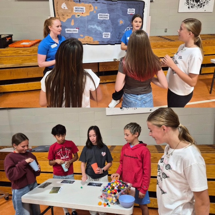 6th graders doing an activity during the Loveland Aquarium presentation 