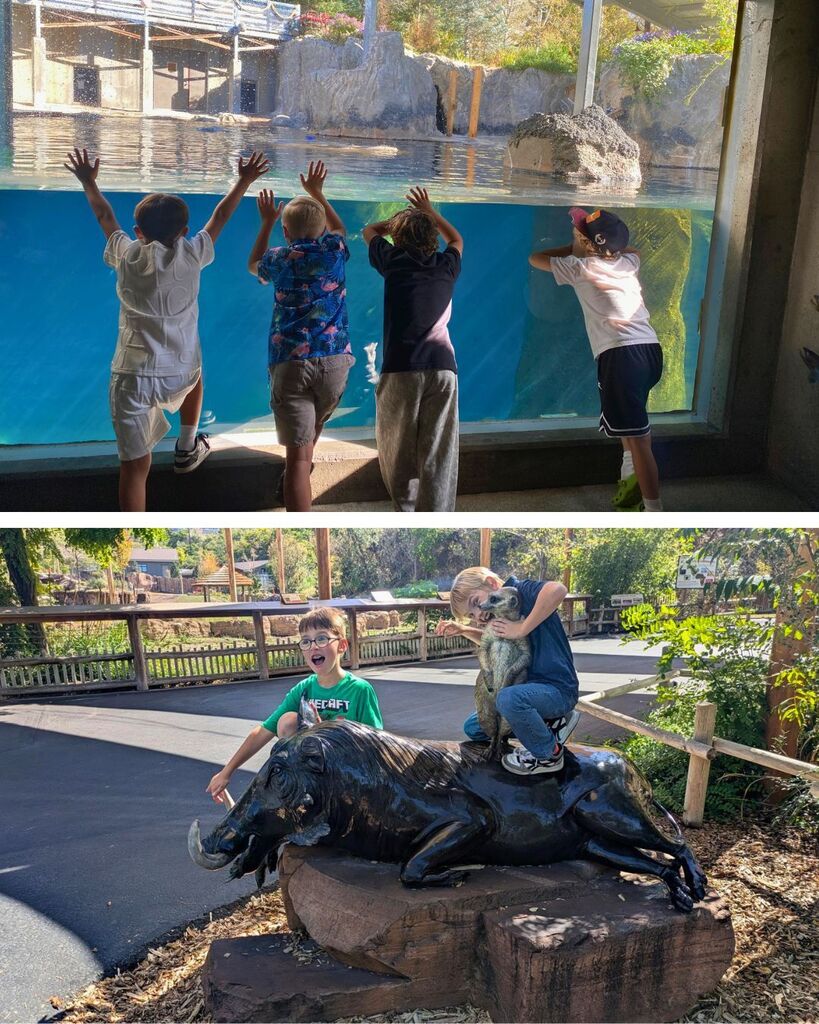 Students explore Hogle Zoo, posing with animal statues and looking through an underwater viewing window.