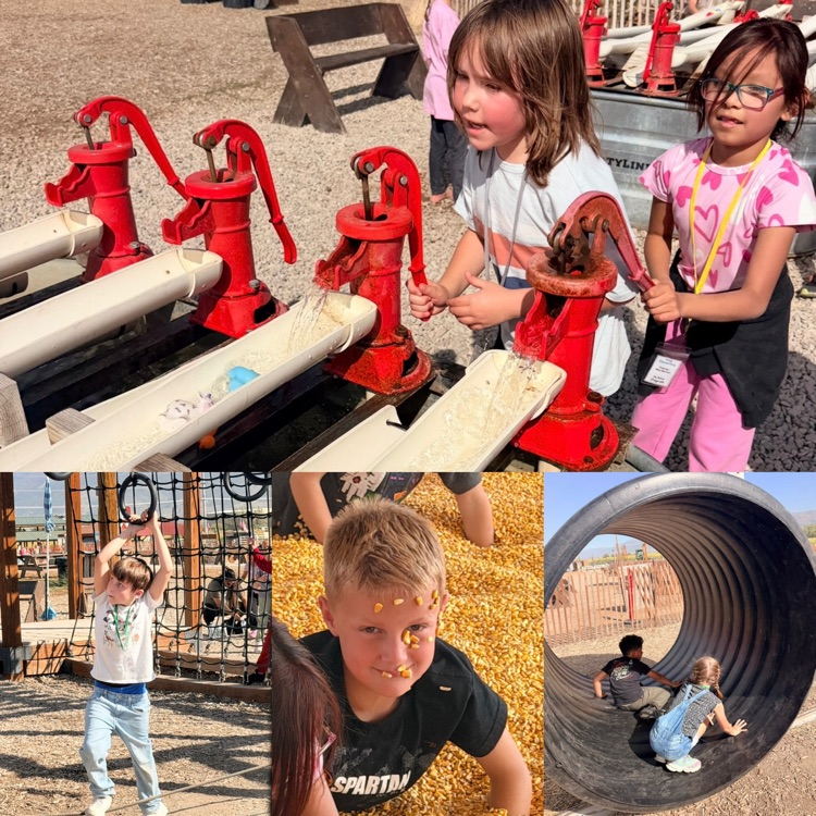 2nd graders exploring different activities on their field trip to Cross E. Ranch