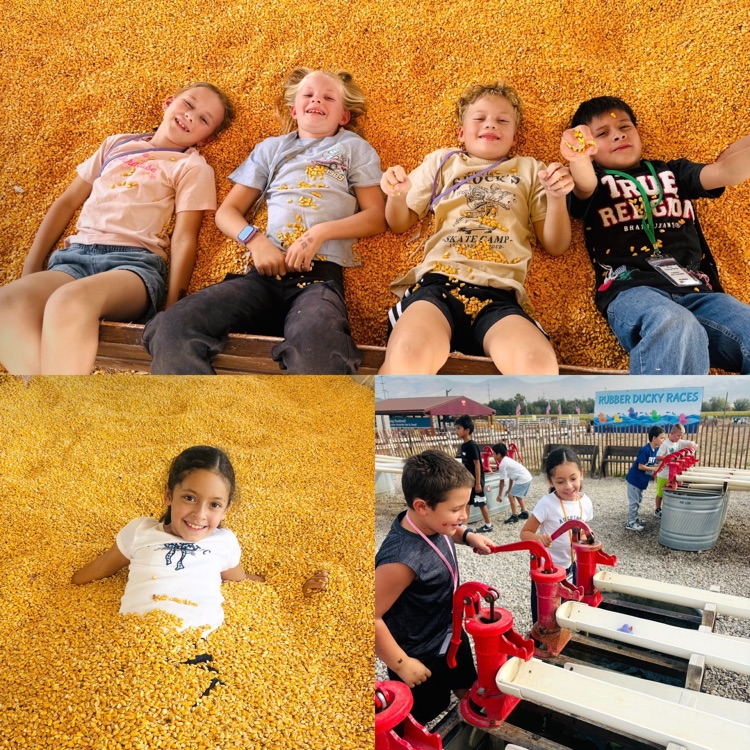 2nd graders exploring different activities on their field trip to Cross E. Ranch