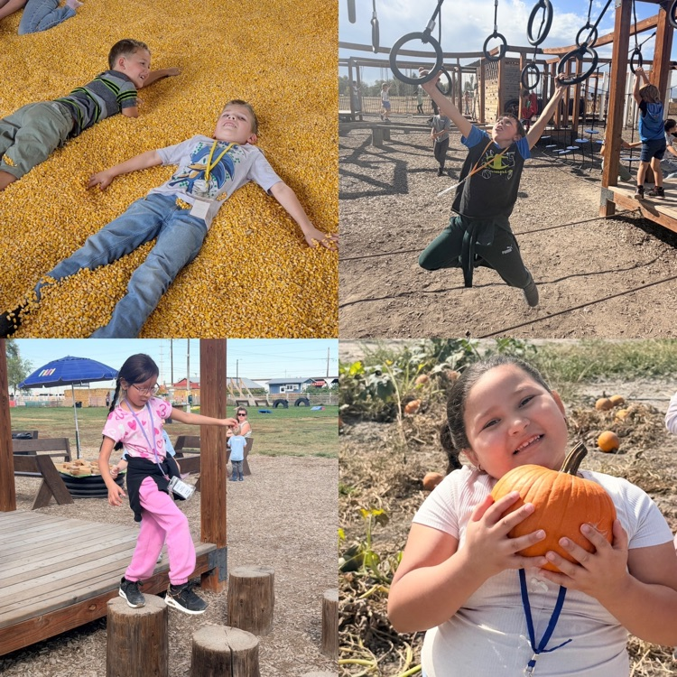 2nd graders exploring different activities on their field trip to Cross E. Ranch